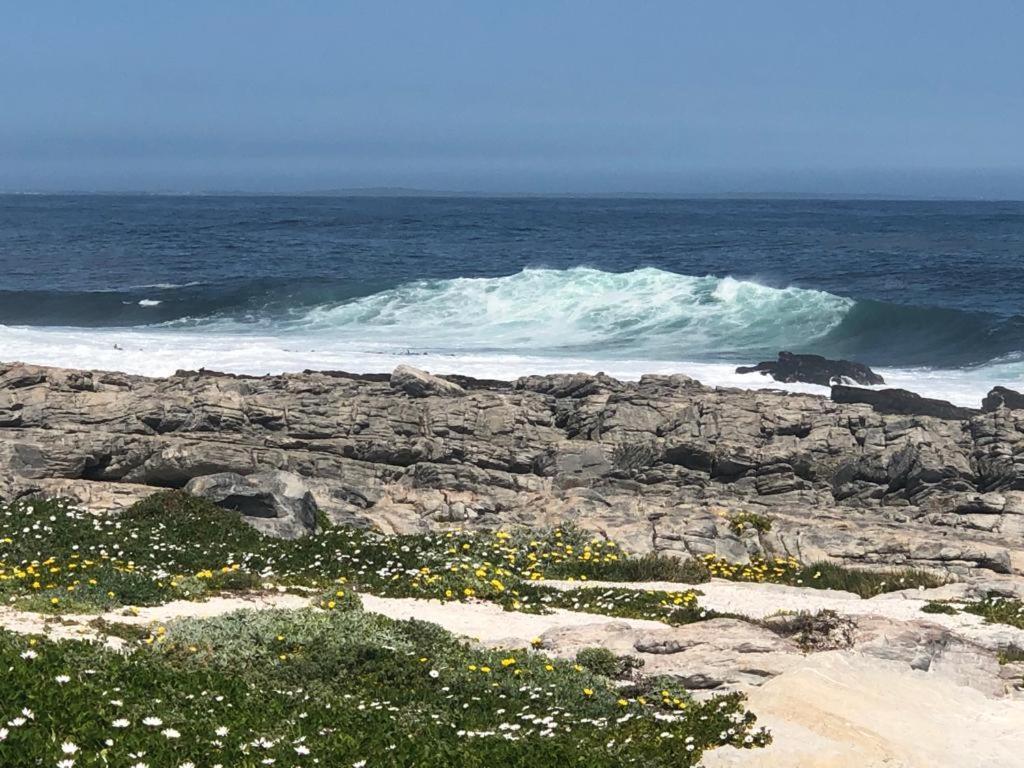 Hermanus Beach Club Exterior foto